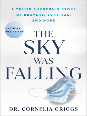 cover image of The Sky Was Falling